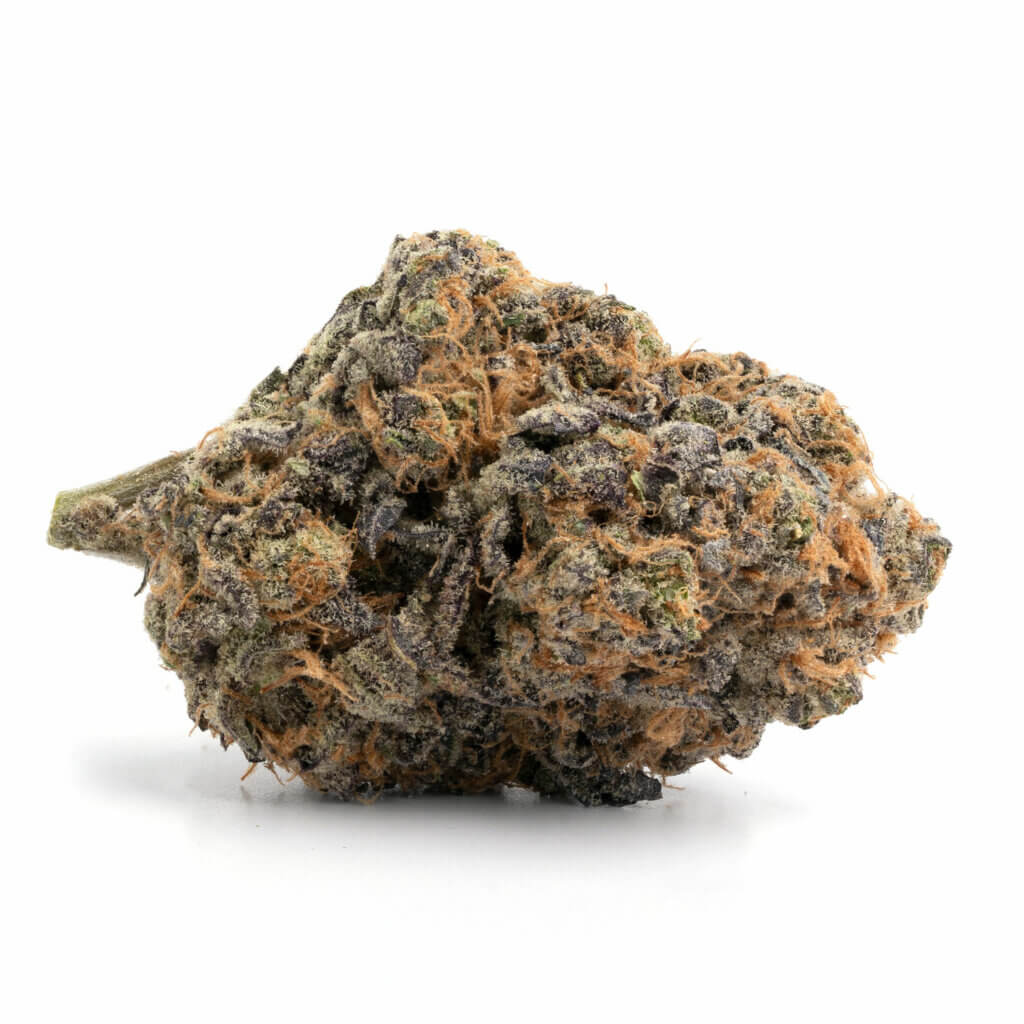 Purple Dream 6 purple dream