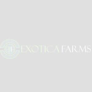 Exotica Farms