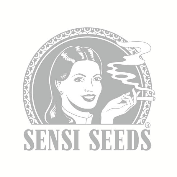 Sensi Seeds