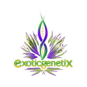 exoticgenetix