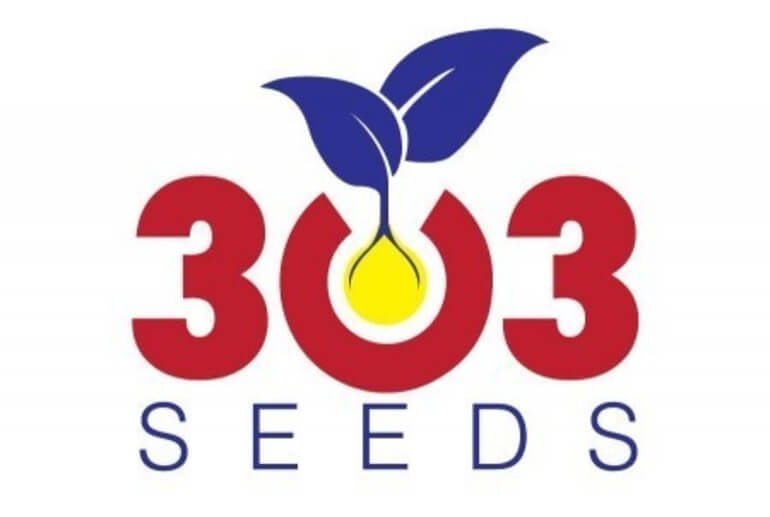 303 seeds