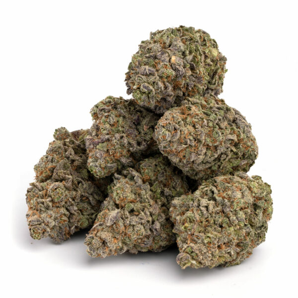 blue lobster strain