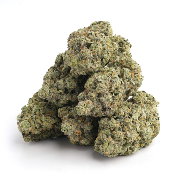 Peach Crescendo 2 Peach Crescendo Strain