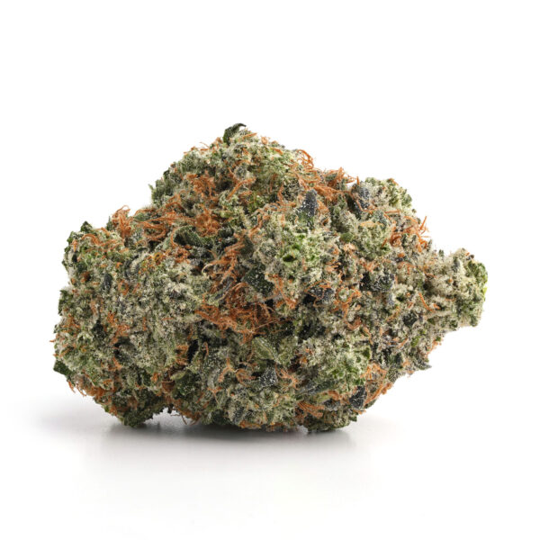 platinum rockstar