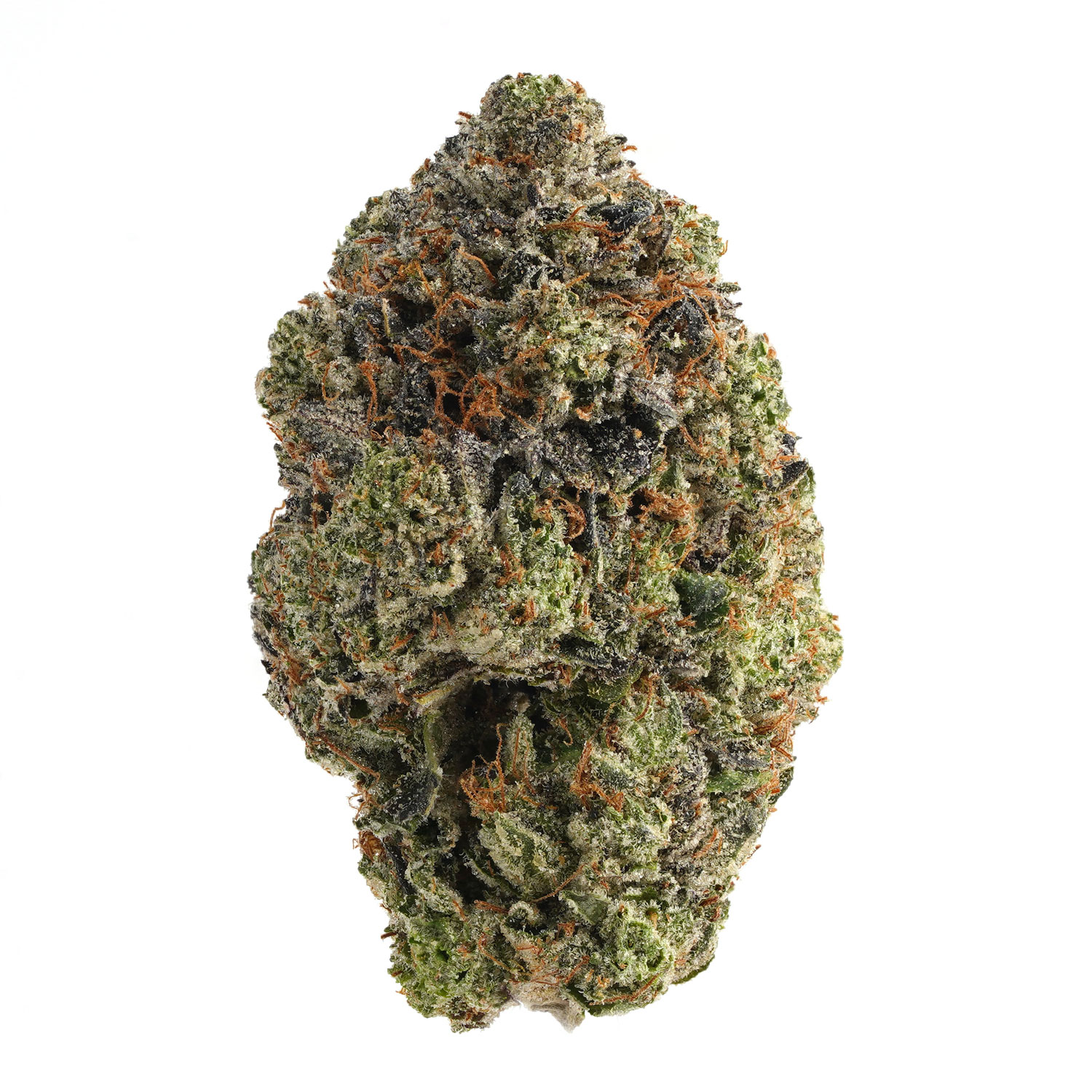 トップス NOILL x CANNABIS Damaged Sweat トップス NOILL x CANNABIS Damaged Sweat トップス NOILL x CANNABIS