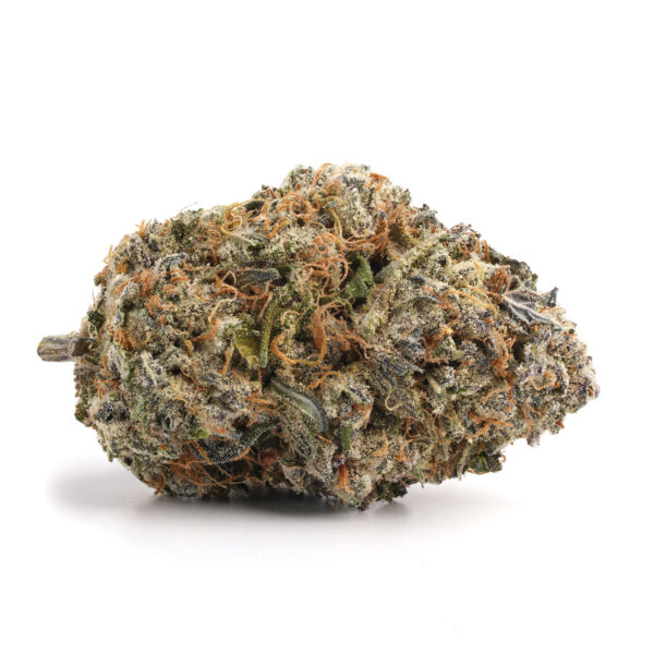 Gravity Cookies