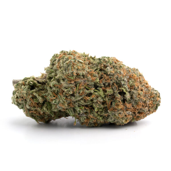 Chem Glue
