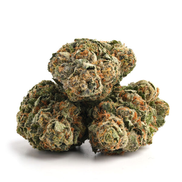 Blue Widow