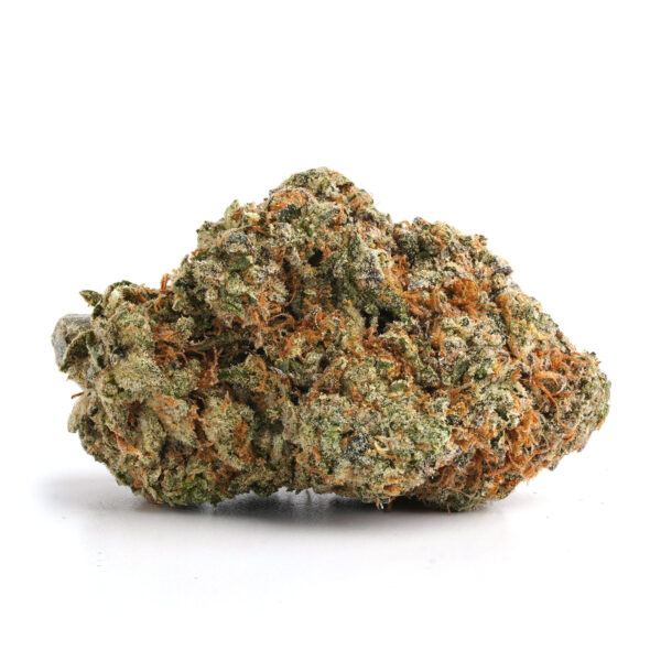Golden Goat