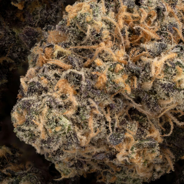 Alien Death Cookies