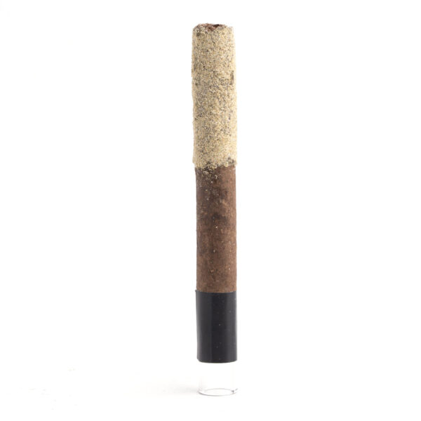 Blizzy Bluntz
