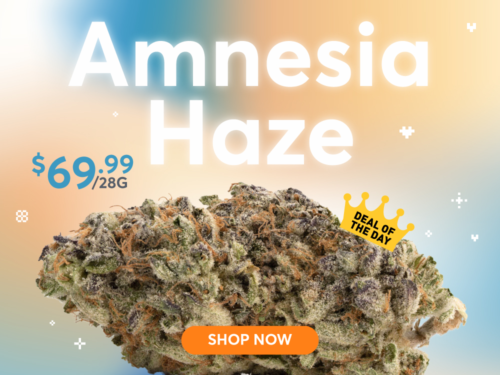 Amnesia-Haze-Mobile-1.jpg