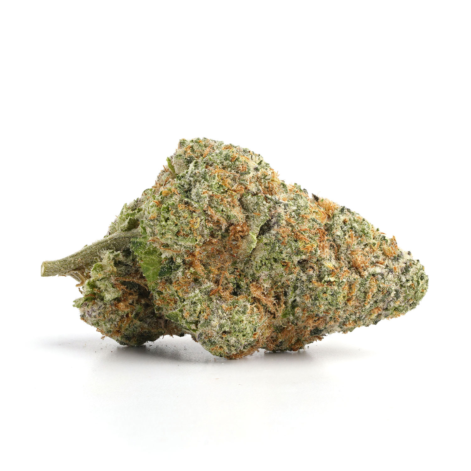 Tropicana-Cookies-2 Tropicana Cookies