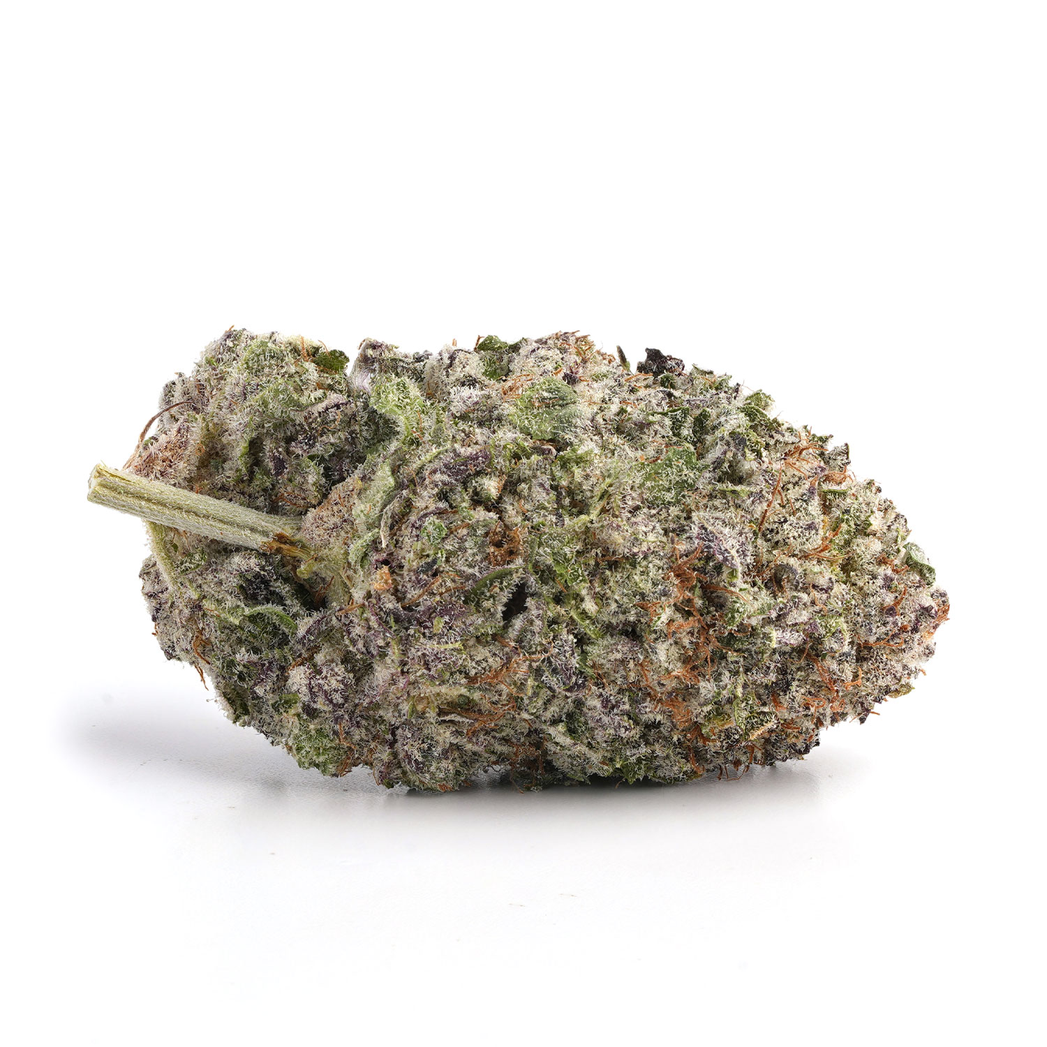 Banana-Tangie-2 Banana Tangie