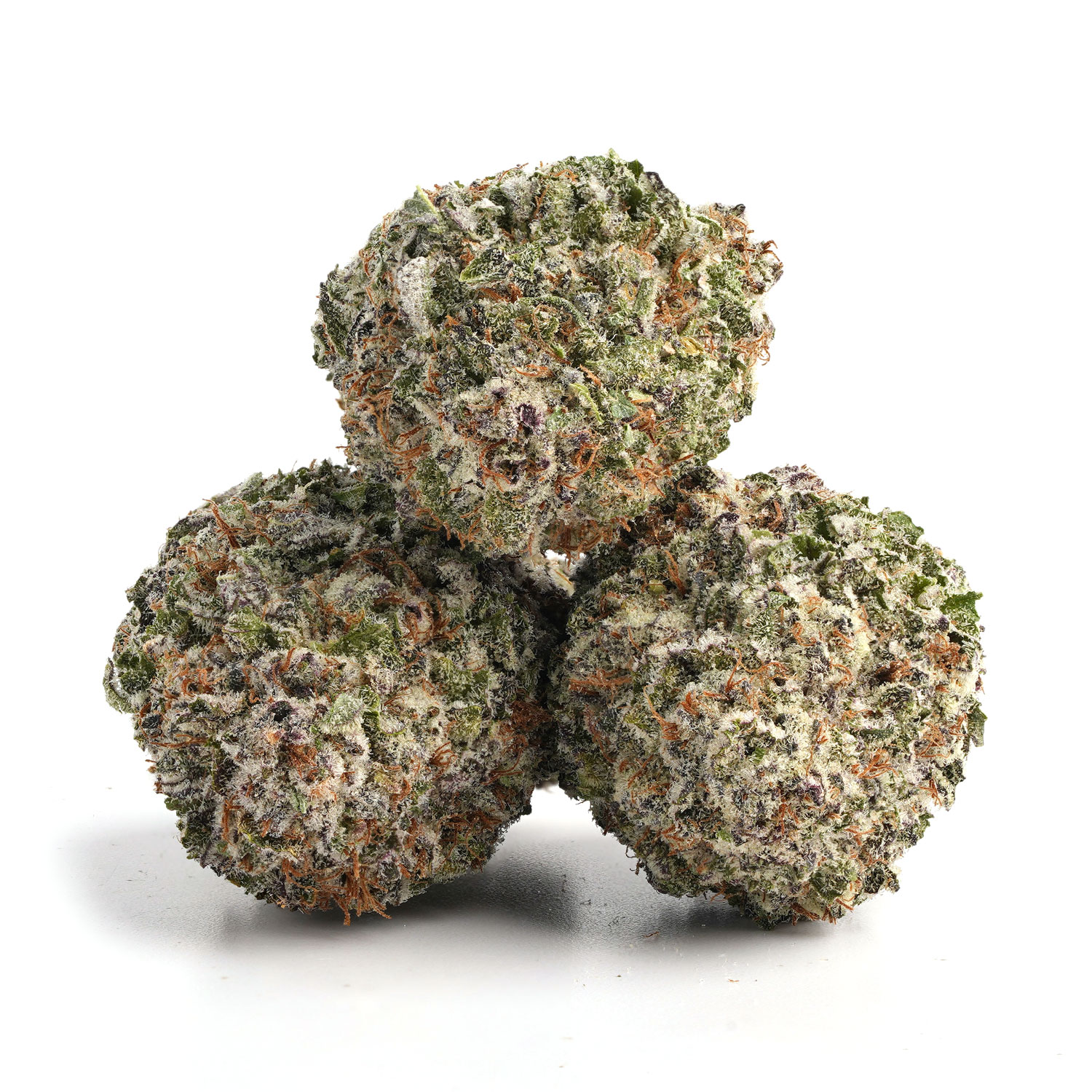 Banana-Tangie-7 Banana Tangie