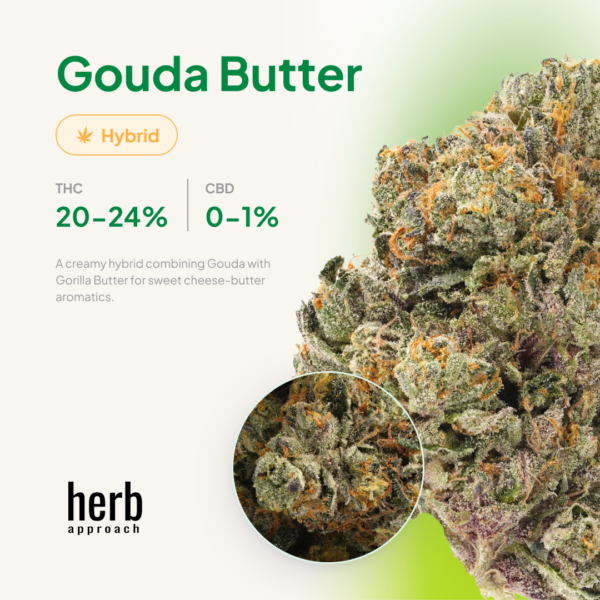 GoudaButter