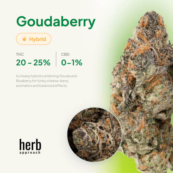 Goudaberry