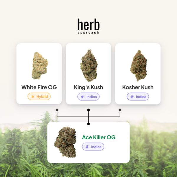 Ace Killer OG