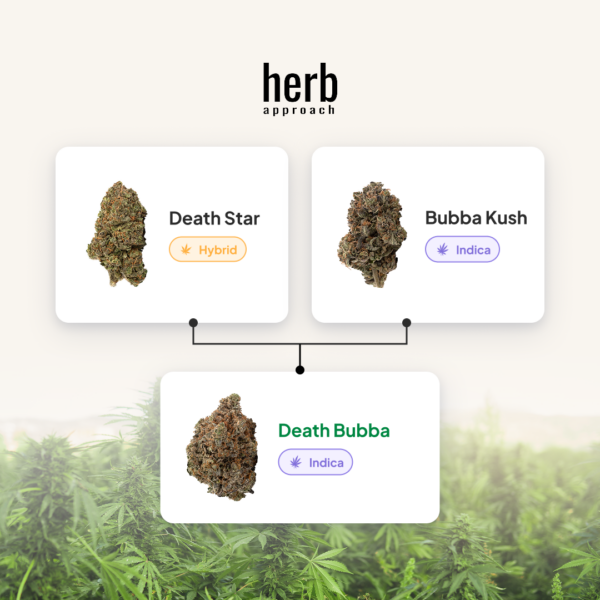 Death Bubba