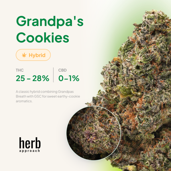 Grandpa's Cookies
