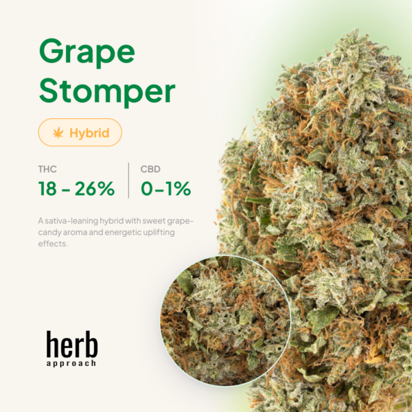 Grape Stomper