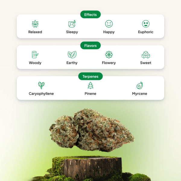 Nuken