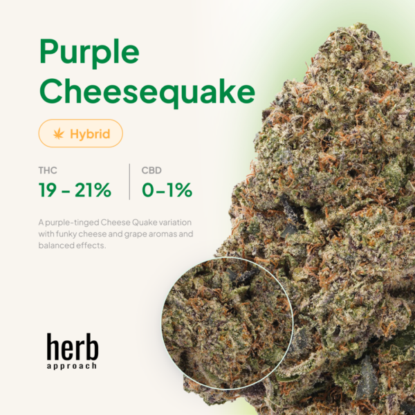 Purple Cheesequake