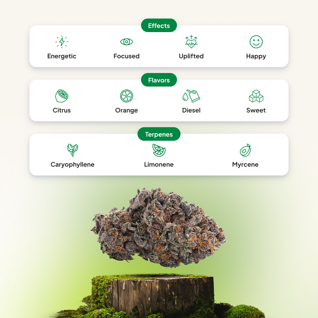 Sour Tangie | Buy Weed Online At Herb Approach | Canada Dispensary
