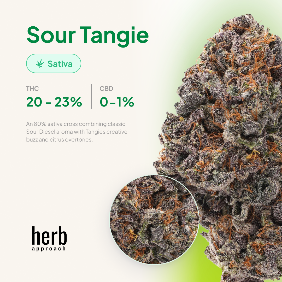 Sour Tangie | Buy Weed Online At Herb Approach | Canada Dispensary