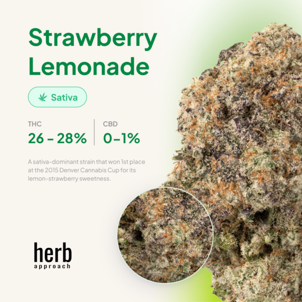 Strawberry Lemonade 3 Strawberry Lemonade