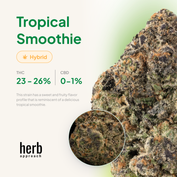 Tropical Smoothie