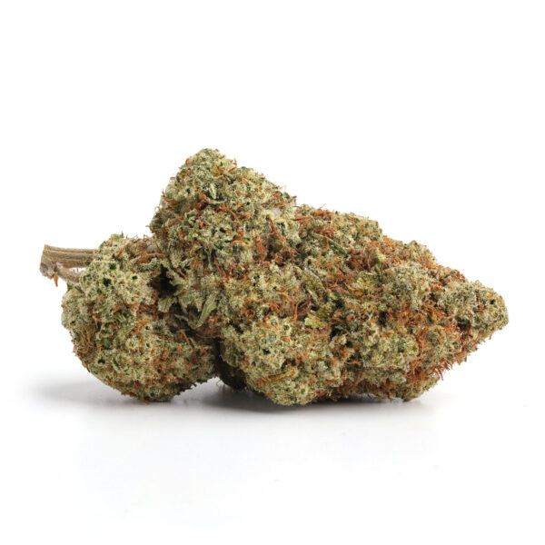 GMO Cookies strain