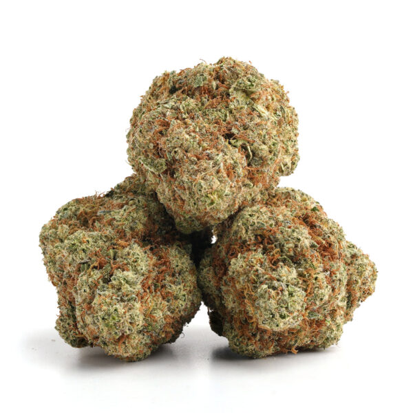 GMO Cookies strain