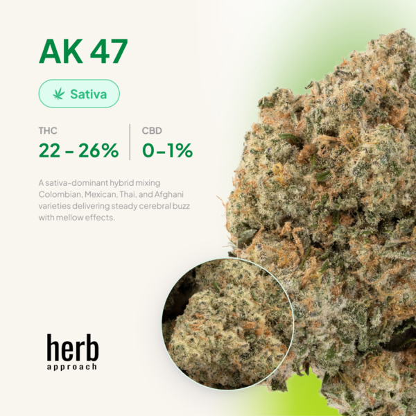 AK 47