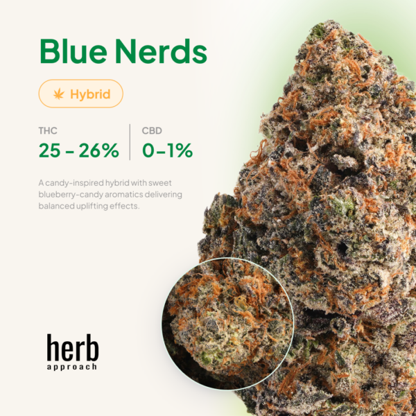 Blue Nerds