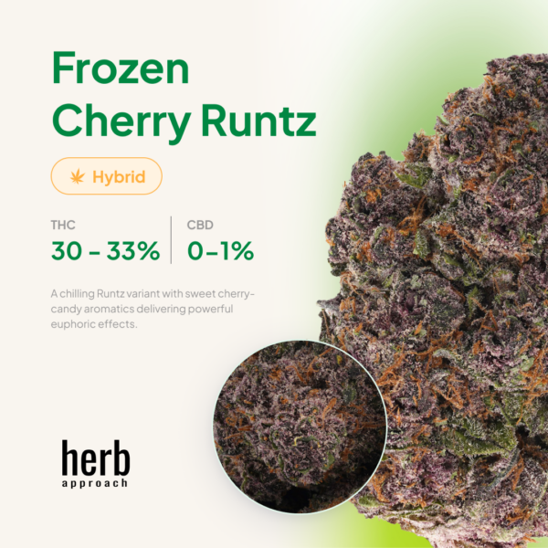 Frozen Cherry Runtz