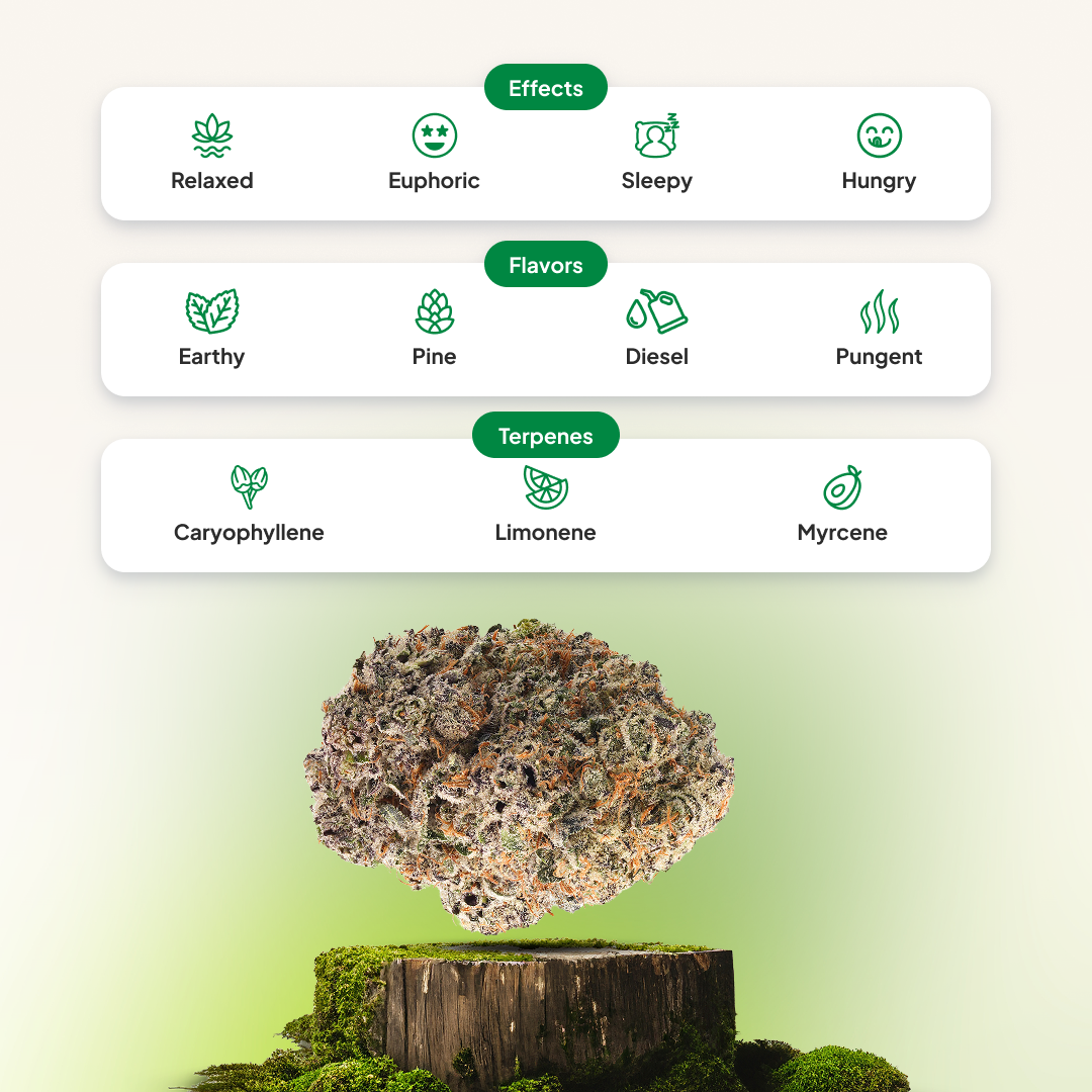 mike-tyson-flavor-effects-terpenes-profile Mike Tyson