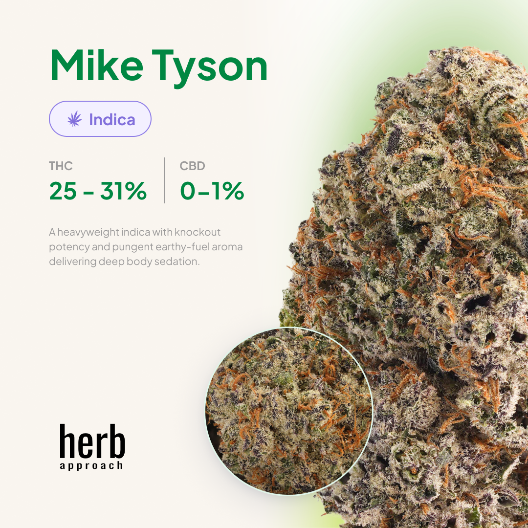 mike-tyson-strain-overview Mike Tyson