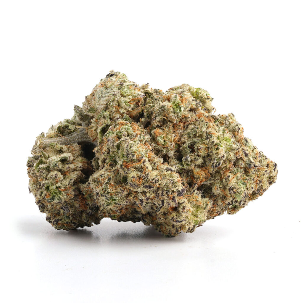 Guava Dream 9 Guava Dream